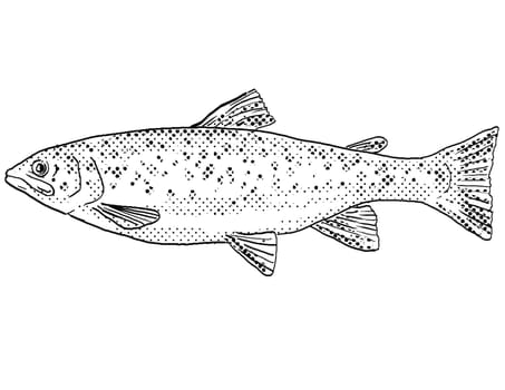 Cartoon style line drawing of a brown trout or Salmo trutta  a freshwater fish endemic to North America with halftone dots shading on isolated background in black and white.