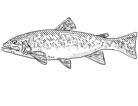Cartoon style line drawing of a brook trout or Salvelinus fontinalis  a freshwater fish endemic to North America with halftone dots shading on isolated background in black and white.