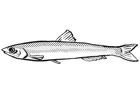 Cartoon style line drawing of a European anchovy or Engraulis encrasicolus  a fish endemic to Germany and Europe in Atlantic Ocean with halftone dots shading on isolated background in black and white.