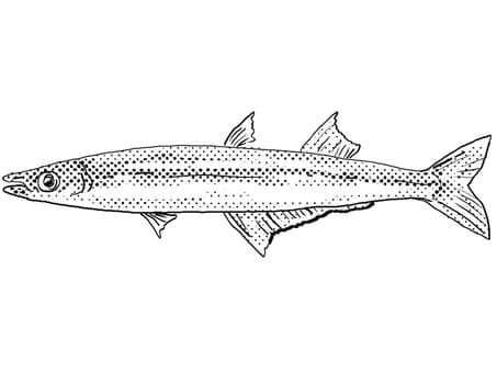Cartoon style line drawing of a Labidesthes sicculus or Brook silverside  freshwater fish found in North America with halftone dots on isolated background in black and white.