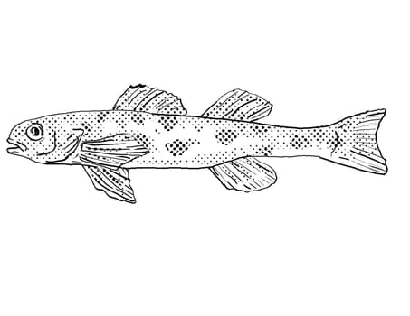 Cartoon style line drawing of a channel darter or Percina copelandi  freshwater fish endemic to North America with halftone dots shading on isolated background in black and white.