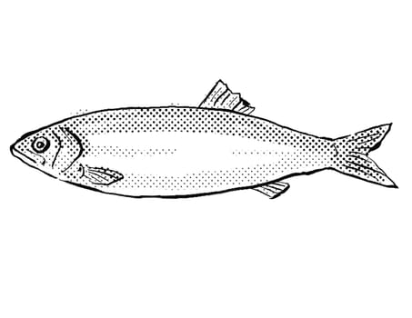 Cartoon style line drawing of a European sprat a fish endemic to Germany and Europe in Atlantic Ocean with halftone dots shading on isolated background in black and white.
