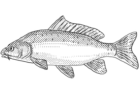Cartoon style line drawing of a Eurasian or European carp, Cyprinus carpio, or  common carp freshwater fish endemic to North America with halftone dots shading on isolated background in black and white.