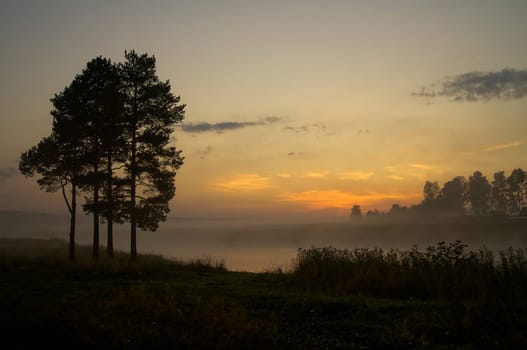 Dawn over the shore of the pond. Morning rays of the sun over the pond.