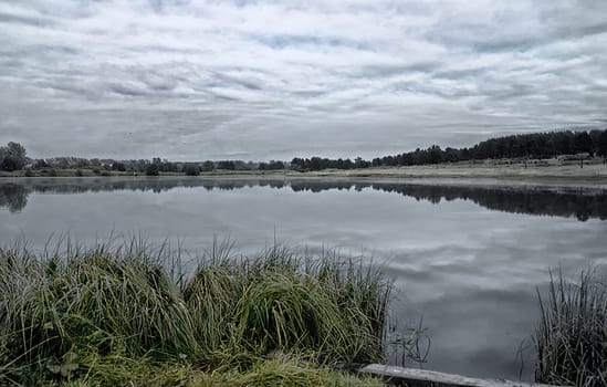 Vegetation near the reservoir. Grass by the shore of the lake.