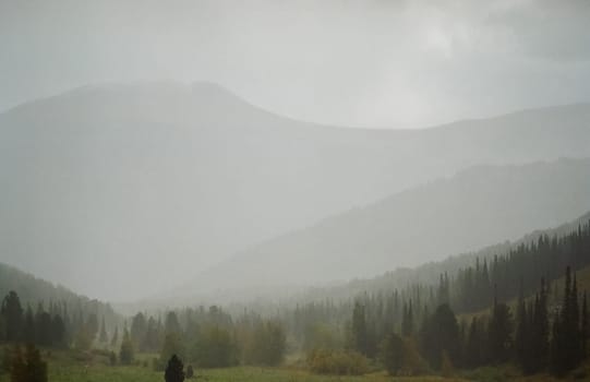 Autumn nature of the altai, forests and mountains.