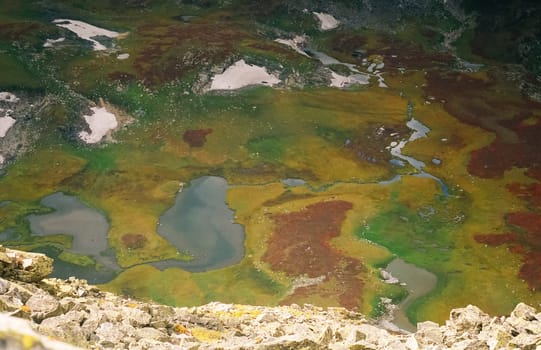 Nature is altai in spring. Melted snow in the mountains.