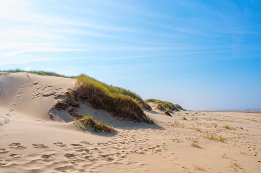Sandy beach, sea and dunes on the North Sea coast in the Netherlands