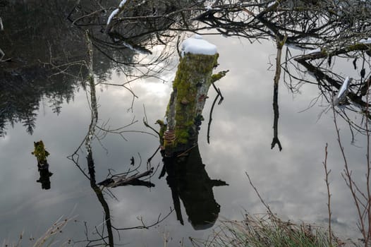 Tree trunk in the water of a lake, covered with snow and with reflections in the water
