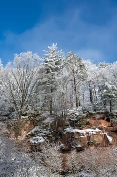 Rock wall with icicles on a cold winter day with lots of snow, blue sky  and snow-covered trees
