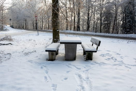 Picnic bench and table in a parking lot in the snow, in a forest