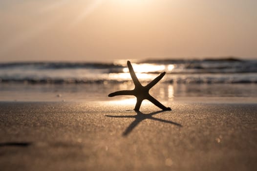 A starfish in the sand on a beach in front of the ocean waves at sunset