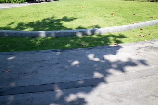 A beautiful tropical public park in the city, stock photo