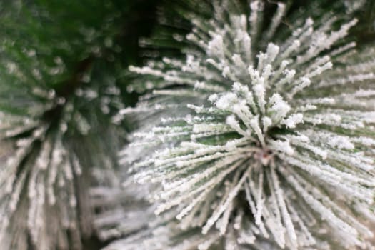 Christmas background and new year still life festive decoration, stock photo