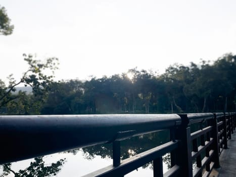 Landscape summer season in the public park, stock photo
