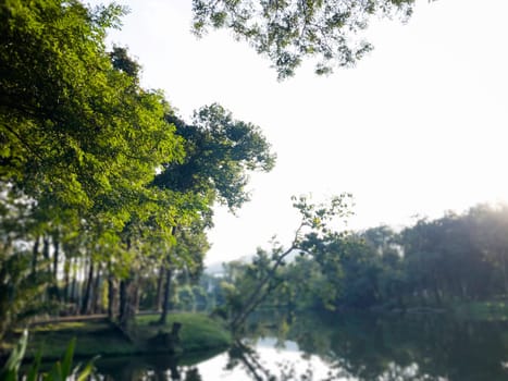 Landscape summer season in the public park, stock photo