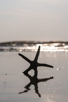 A starfish in the waves of the sea on a beach at sunset