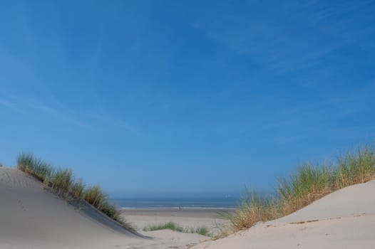 View over the dunes with beach grass towards the sea, on the North Sea coast in the Netherlands with a blue sky