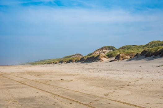 Sandy beach and dunes on the North Sea coast in the Netherlands