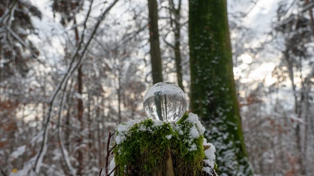 Glass ball on snow-covered rotten tree stump on a cold winter day in the forest, with reflections of trees in the glass