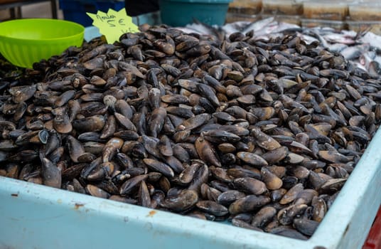 A pile of mussels is on display at a market. The pile is large and contains many mussels
