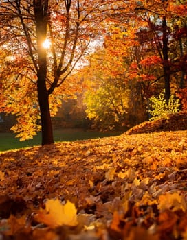 brown fallen leaves background, AI generated image