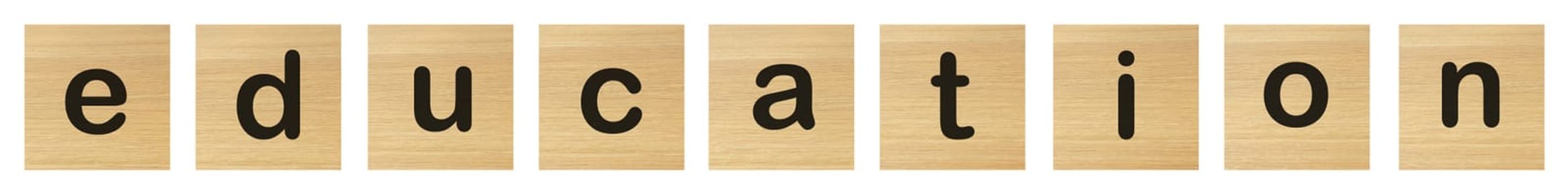 education word with wood blocks on white