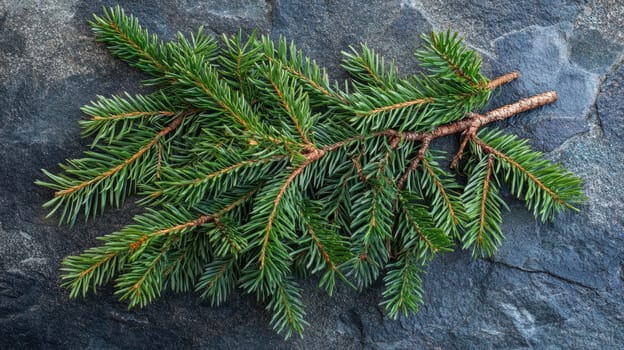 A fresh evergreen branch rests on a dark stone surface symbolizing the joy and beauty of the Christmas season in a natural setting.