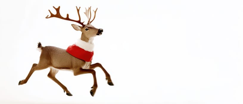 A reindeer dressed in a red collar is playfully running across a bright background evoking the spirit of the Christmas season.