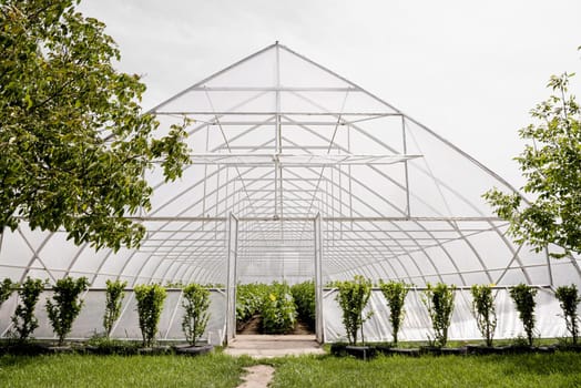 front view greenhouse trees