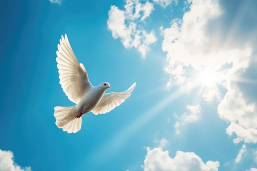 White dove soaring through a bright blue sky with white clouds and sun rays represents hope, peace, and spirituality