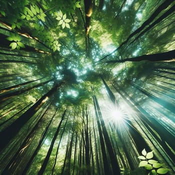 A low-angle view looking up into a dense forest canopy, with sunlight streaming through the leaves. High quality AI-generated photo.
