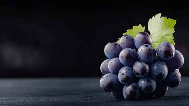 a bunch of grapes on a dark table on a black background. Grapes with droplets of water on the skin and space for text
