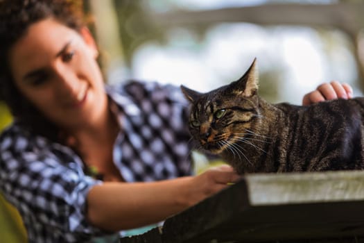 Young woman gently pets a tabby cat sitting on a weathered wooden surface outdoors, creating a heartwarming moment of connection