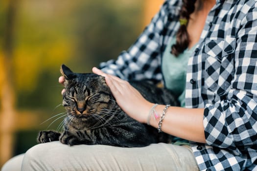 Teenage girl outdoors gently caresses a tabby cat, showing love and friendship in a peaceful moment
