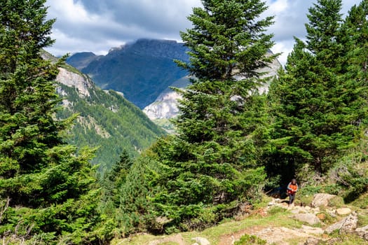 A person is walking through a forest with trees and mountains in the background. The person is wearing a red jacket