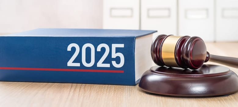 A law book with a gavel - 2025