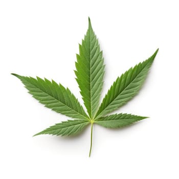 A cannabis leaf isolated on a white background - AI generated