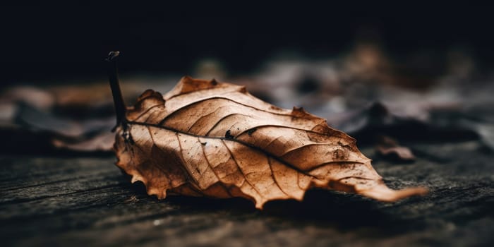 A withered leaf - AI generated