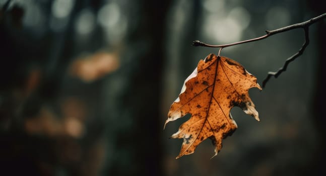A withered leaf - AI generated