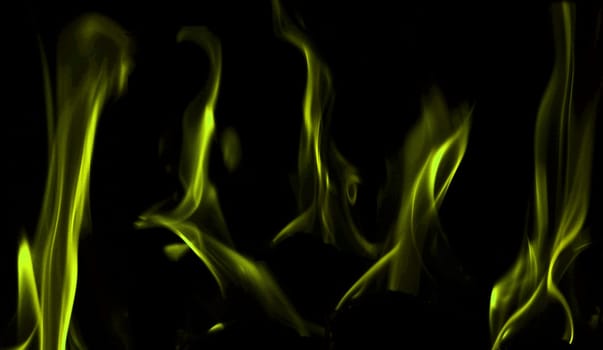 Various flames from a fire in green against a black background