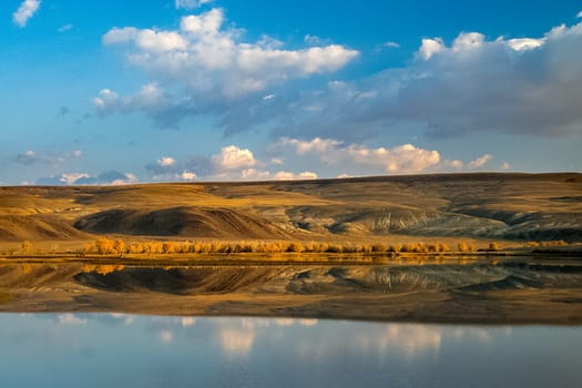 Golden autumn in the forests of the Altai. Yellow trees in autumn near the reservoir.