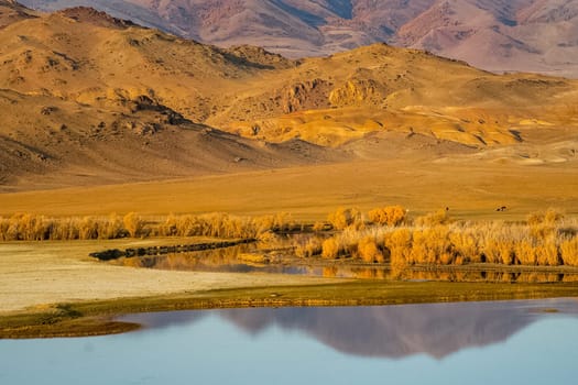 The altai mountains. The landscape of nature on the Altai mountains and in the gorges between the mountains.