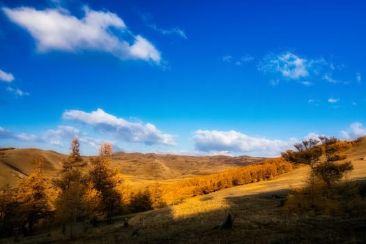 The altai mountains. The landscape of nature on the Altai mountains and in the gorges between the mountains.