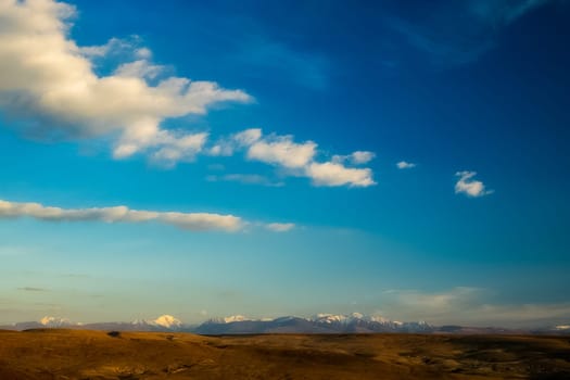The altai mountains. The landscape of nature on the Altai mountains and in the gorges between the mountains.