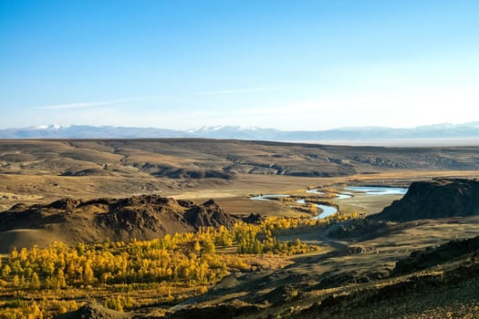 The altai mountains. The landscape of nature on the Altai mountains and in the gorges between the mountains.