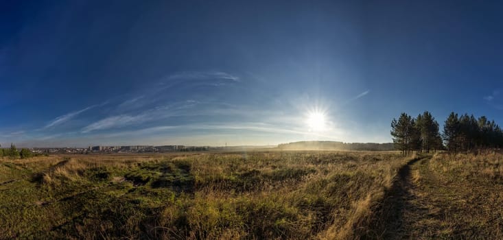 Nature landscape is forest and grass. Beautiful landscape.