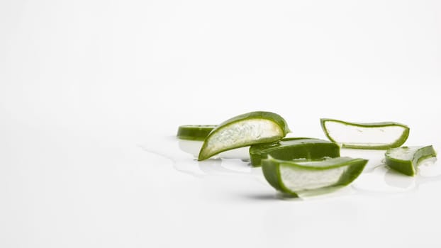 close up view aloe vera beauty concept