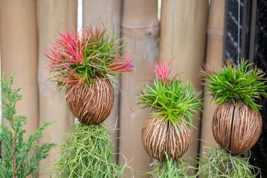 Thai agricultural produce to be exhibited at the fair, stock photo
