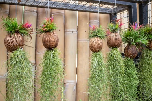 Thai agricultural produce to be exhibited at the fair, stock photo